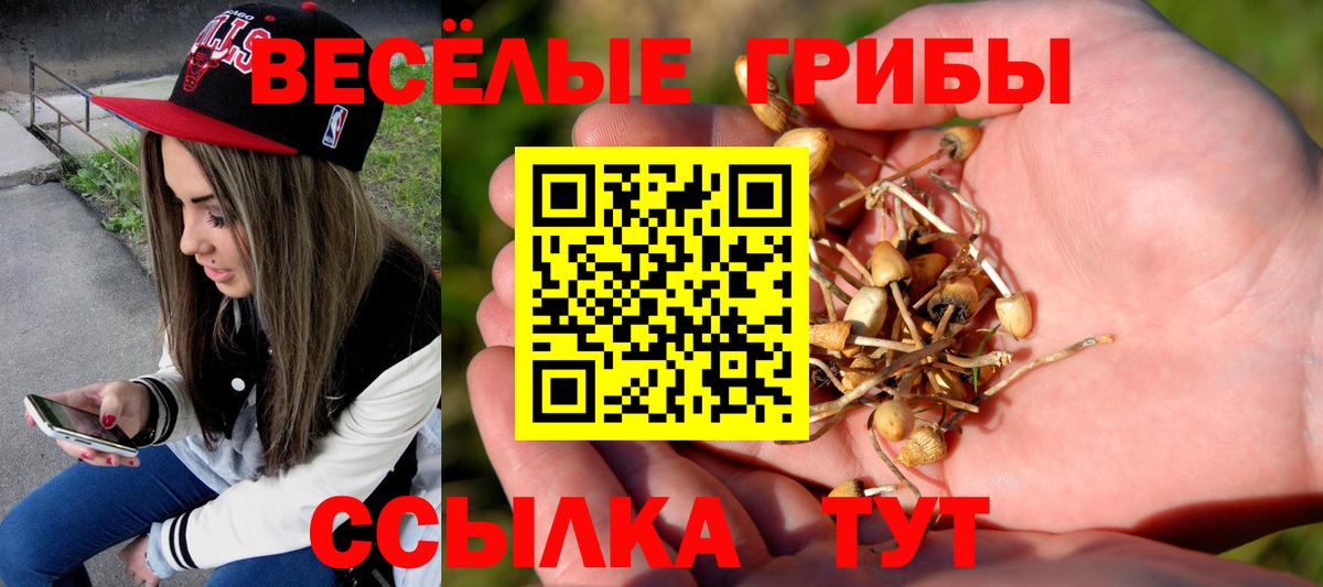 Галлюциногенные грибы Magic Shrooms  Вход с VPN  Северобайкальск  Псилоцибиновые грибы Magic Shrooms 