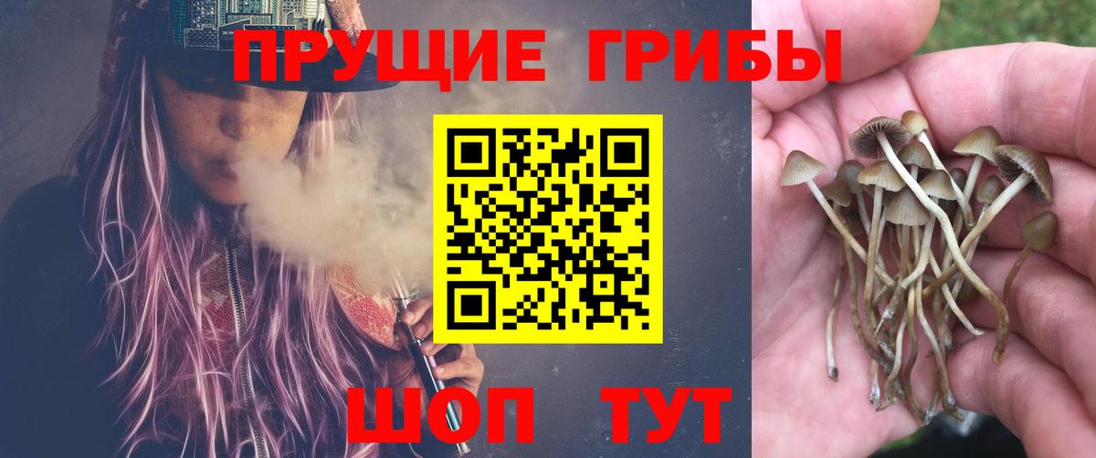 Псилоцибиновые грибы Magic Shrooms Северобайкальск